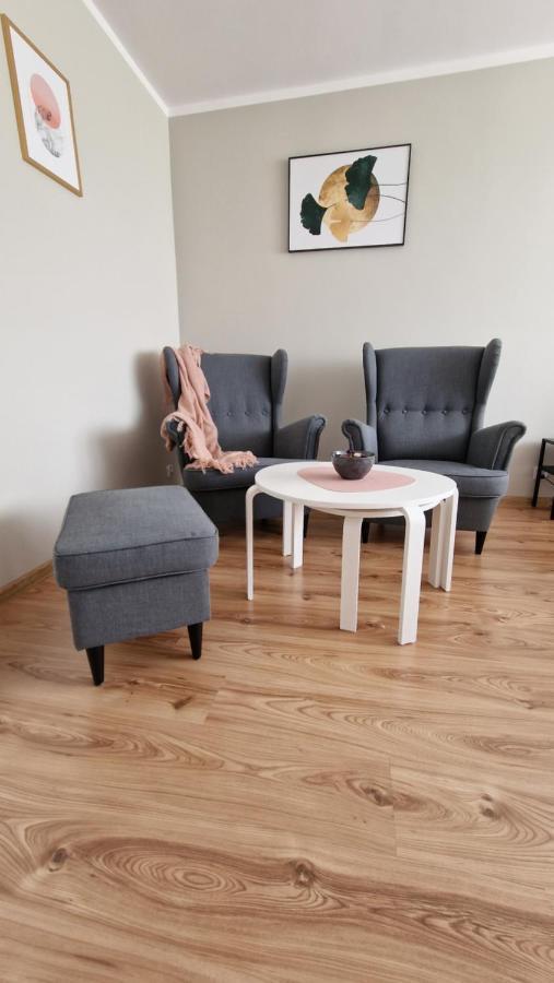 Apartament Spoko-Loko Daire Stronie Śląskie Dış mekan fotoğraf