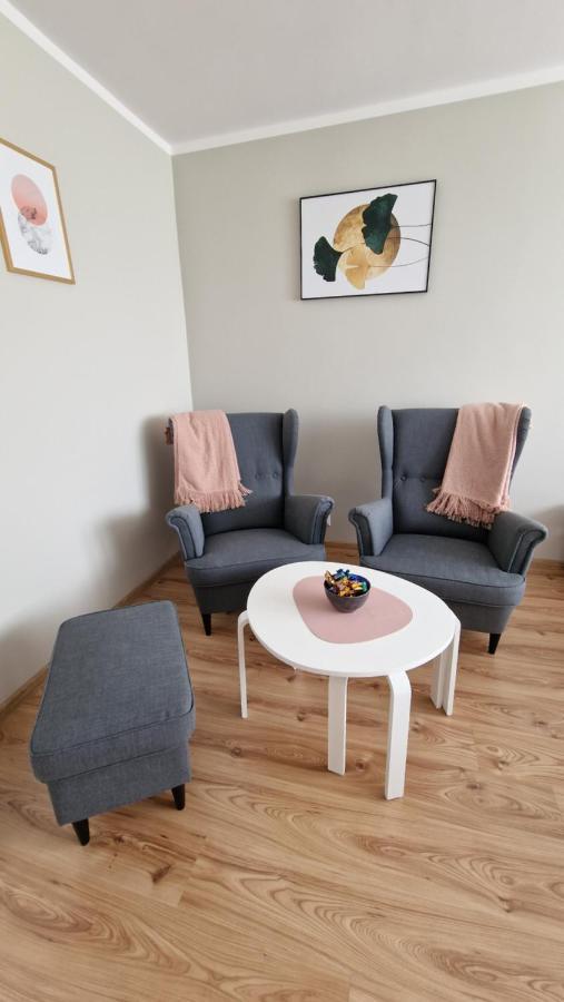 Apartament Spoko-Loko Daire Stronie Śląskie Dış mekan fotoğraf